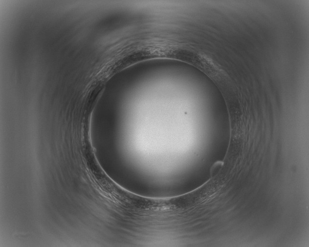 X0000058770646200510031047