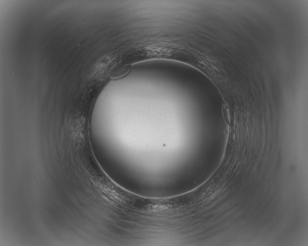 X0000058770649200510031047