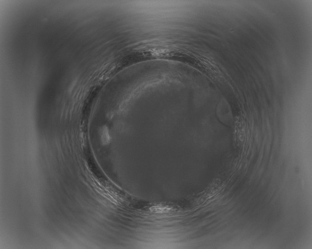 X0000058770650200510031047