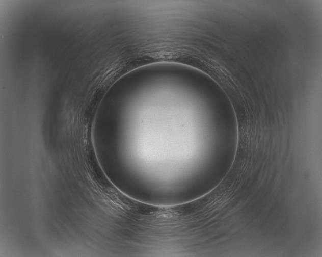 X0000058770652200510031047