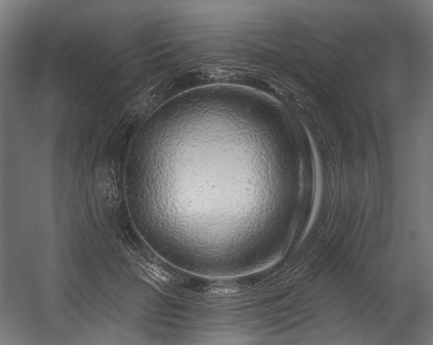 X0000058770653200510031047