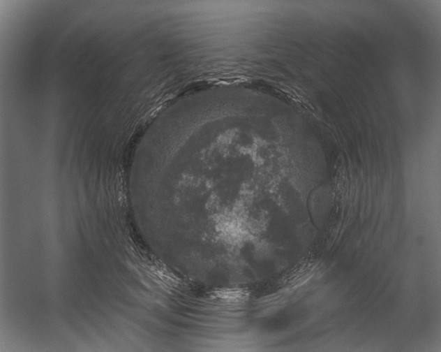 X0000058770659200510031047