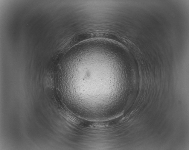 X0000058770661200510031047