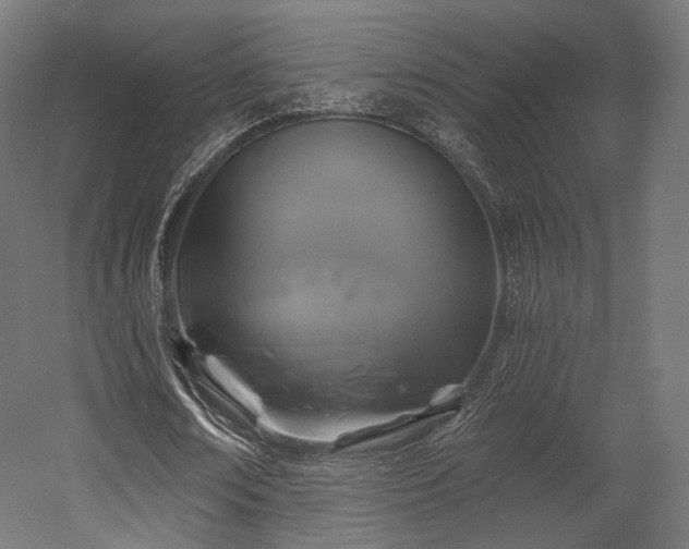 X0000058770674200510031046
