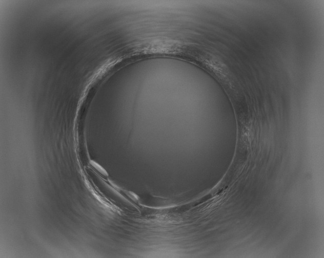 X0000058770678200510031046