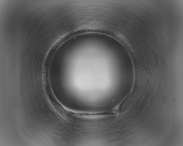 X0000058770680200510031046