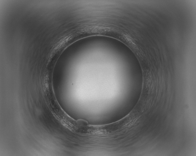 X0000058770683200510031046