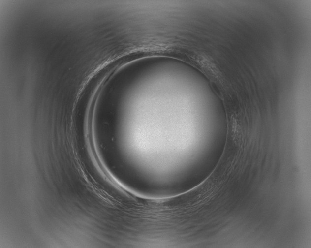 X0000058770684200510031046