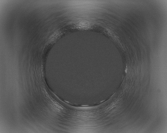 X0000058770689200510031046
