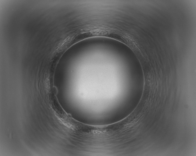 X0000058770690200510031046