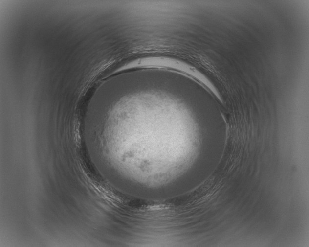 X0000058770692200510031046