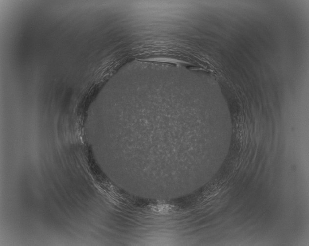 X0000058770695200510031046