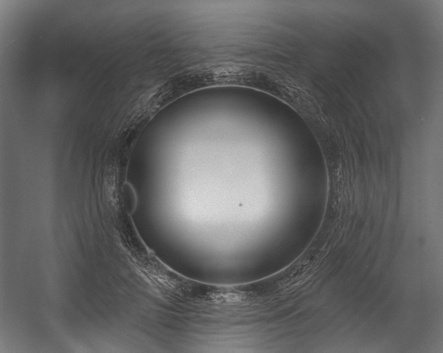X0000058770698200510031046