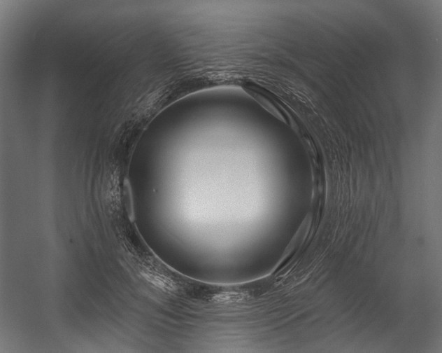 X0000058770700200510031046