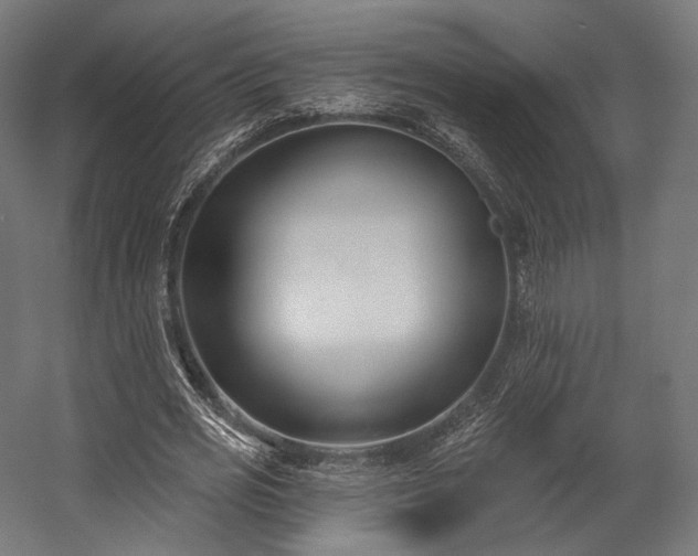 X0000058770725200510031045