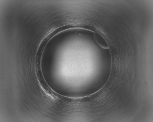 X0000058770730200510031045
