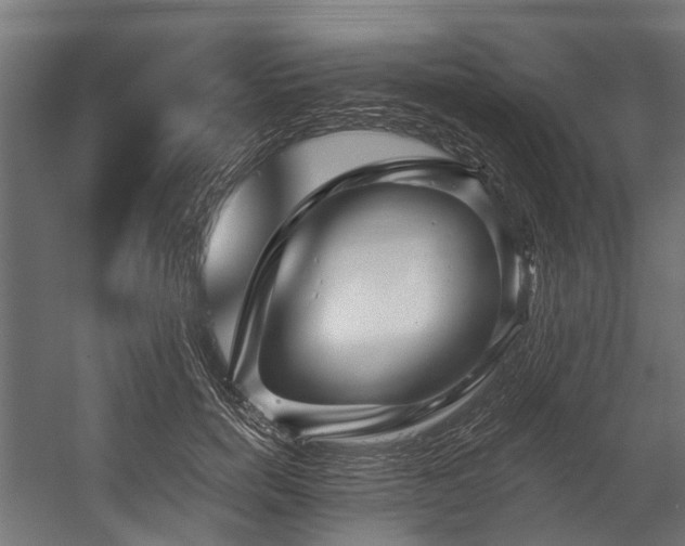 X0000058770750200510031045