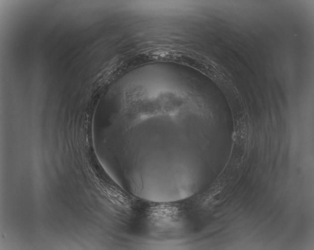 X0000058770754200510031045