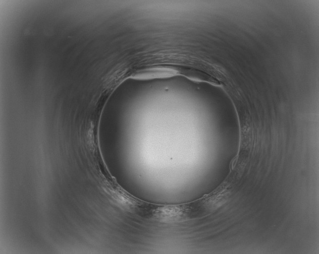 X0000058770765200510031045