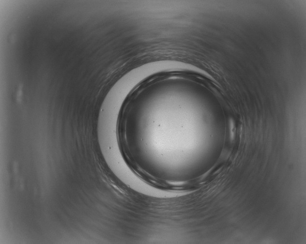X0000058770766200510031045