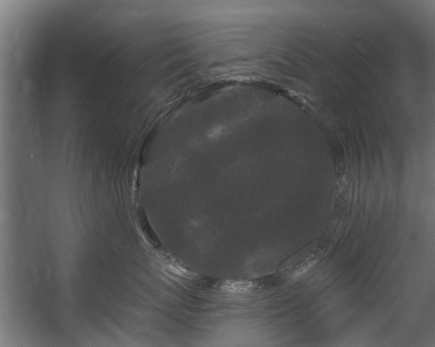 X0000058770767200510031045