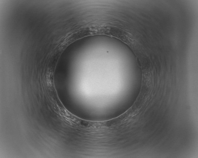 X0000058770770200510031045