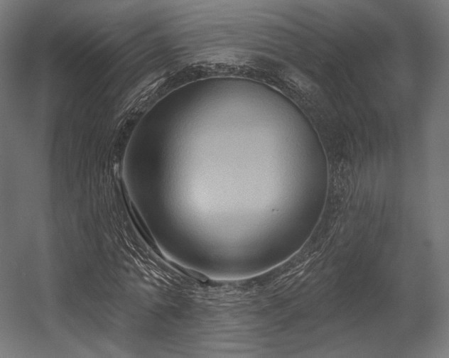 X0000058770774200510031044
