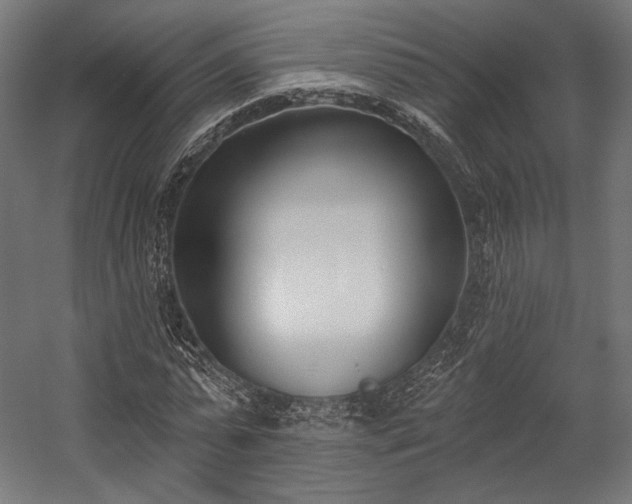 X0000058770775200510031044