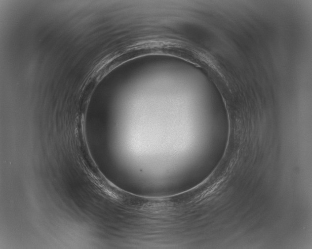 X0000058770778200510031044