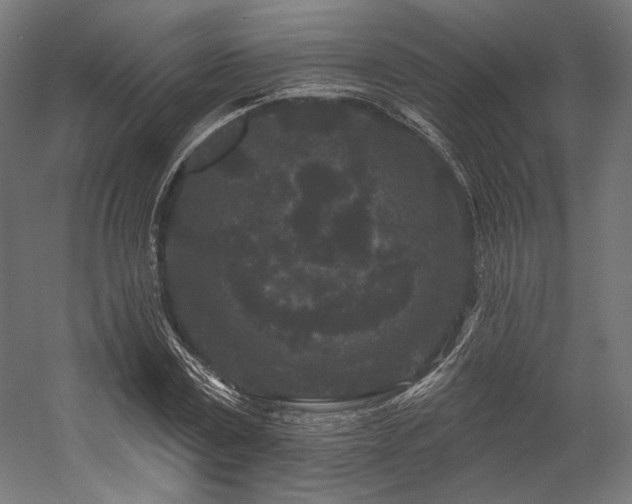 X0000058770779200510031044