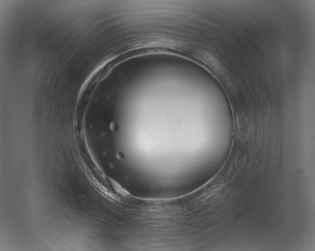 X0000058770780200510031044