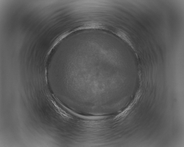 X0000058770781200510031044