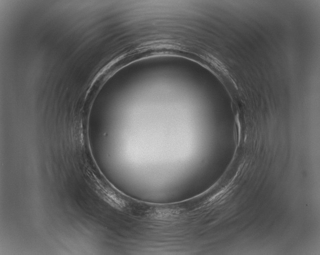 X0000058770782200510031044