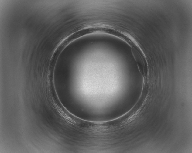 X0000058770783200510031044