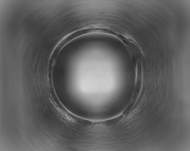 X0000058770784200510031044