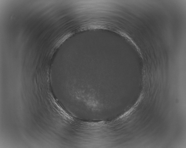 X0000058770785200510031044