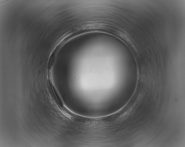 X0000058770786200510031044