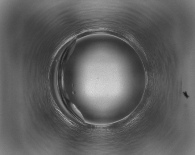 X0000058770789200510031044