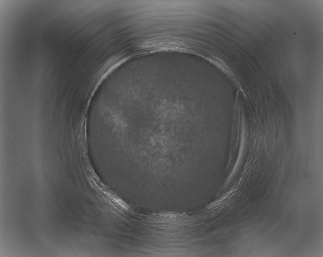 X0000058770790200510031044