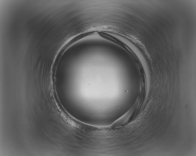 X0000058770792200510031044