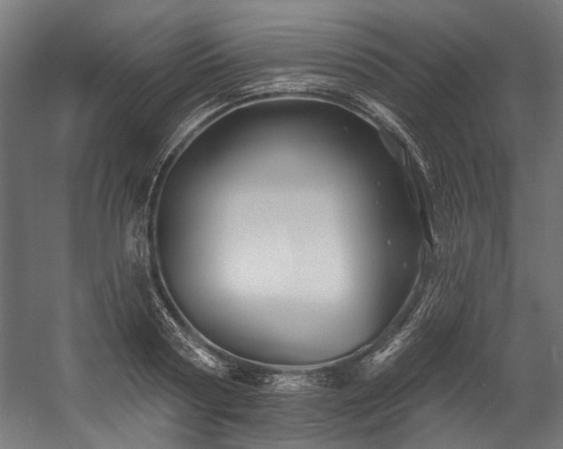 X0000058770794200510031044