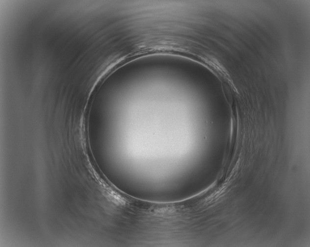 X0000058770798200510031044