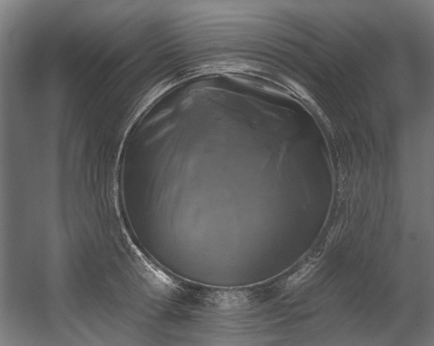 X0000058770802200510031044