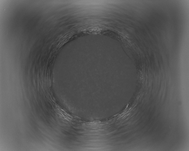 X0000058770818200510031043