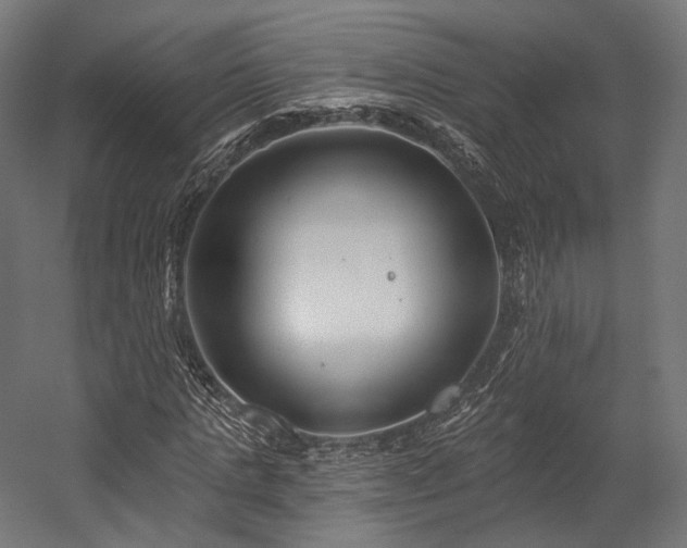 X0000058770821200510031043