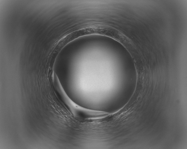 X0000058770822200510031043