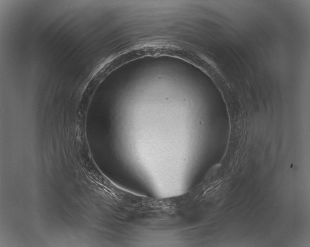X0000058770823200510031043