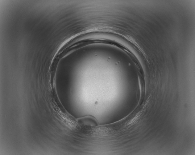 X0000058770830200510031043