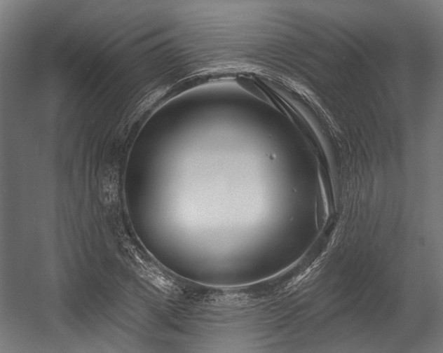 X0000058770833200510031043