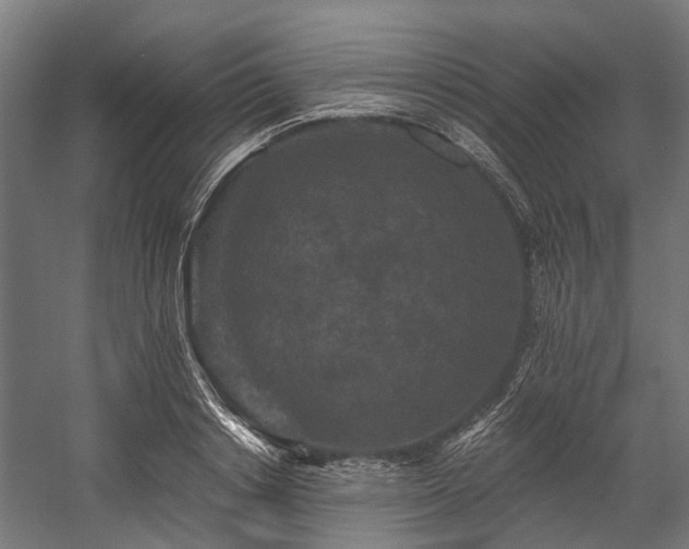X0000058770842200510031043